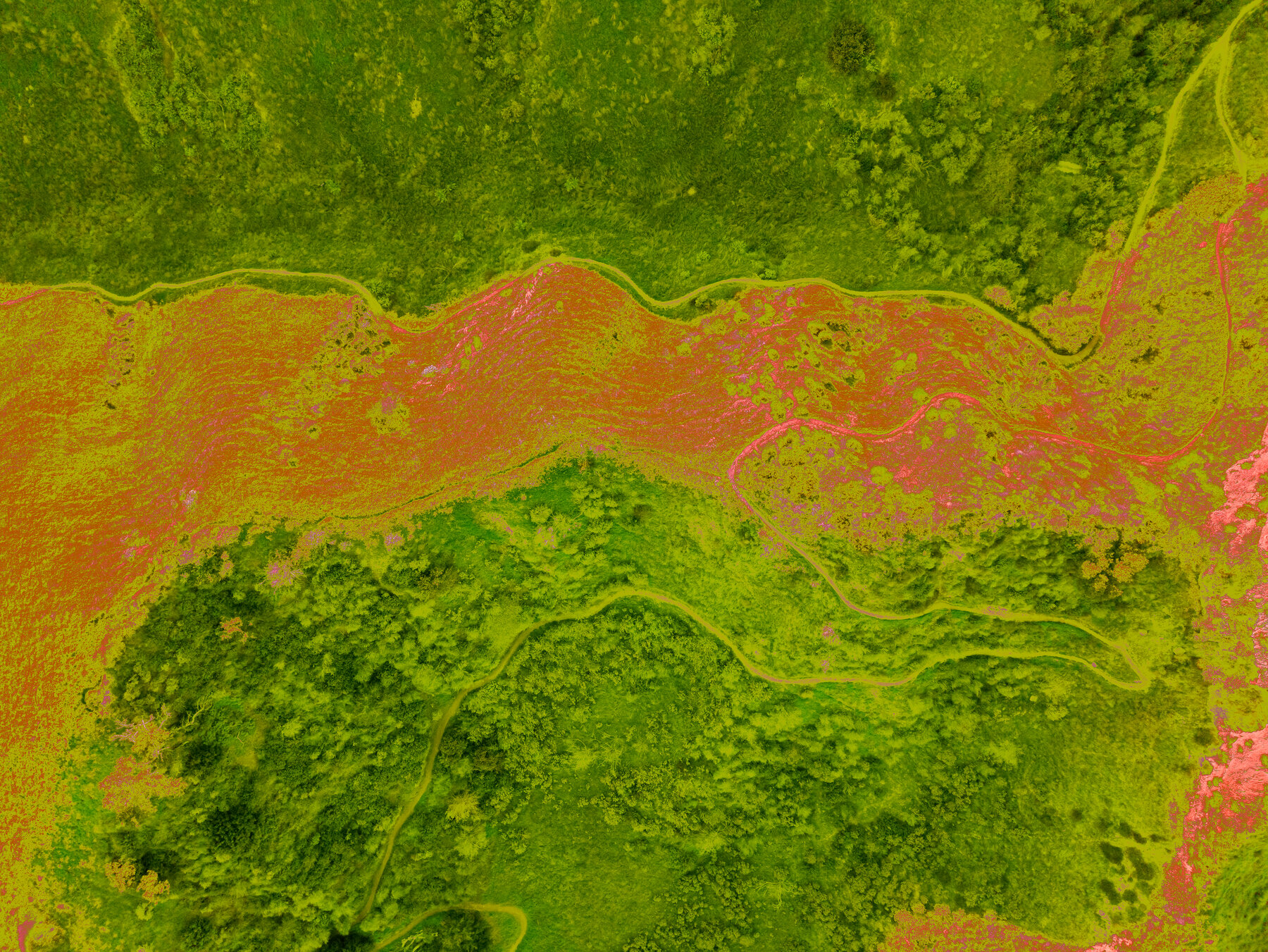 Thermal Imaging: Heat & Moisture Detection